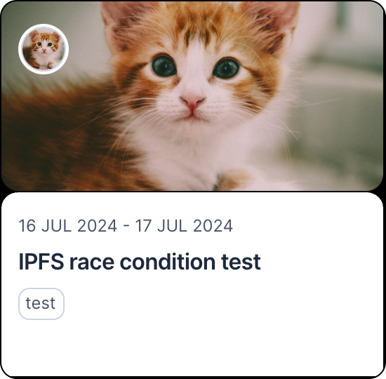 IPFS race condition test