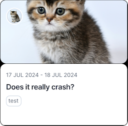 Does it really crash?