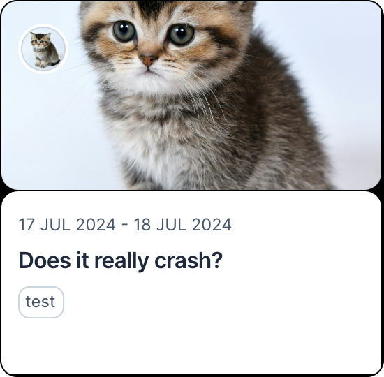 Does it really crash?