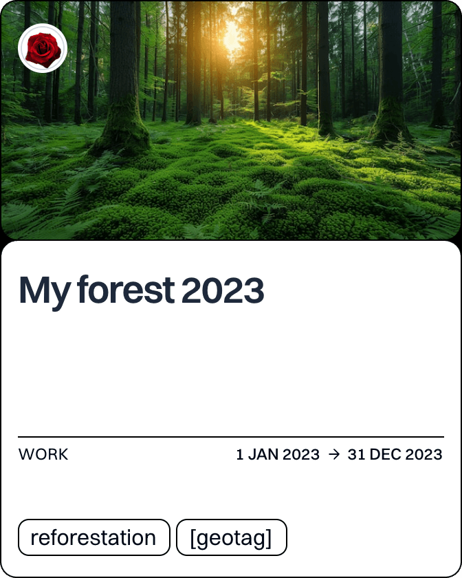 My forest 2023