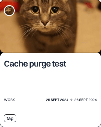 Cache purge test