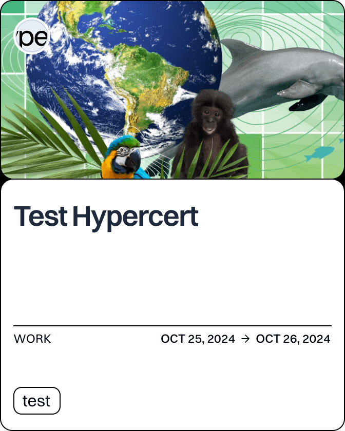 Test Hypercert