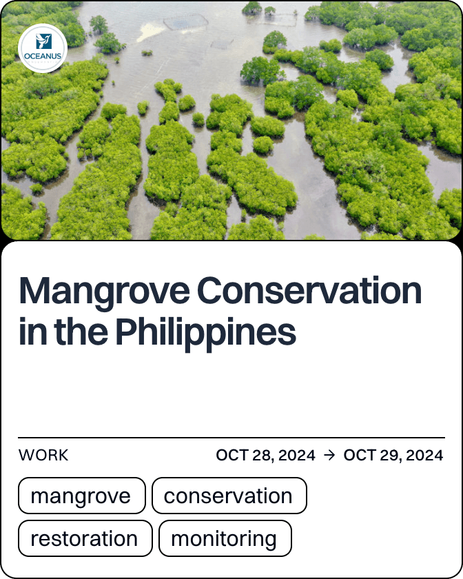 Mangrove Conservation in the Philippines