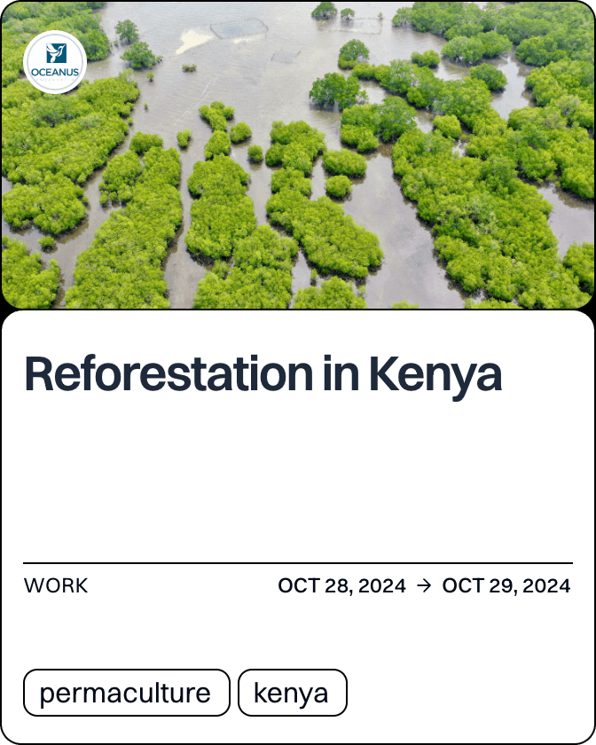 Reforestation in Kenya